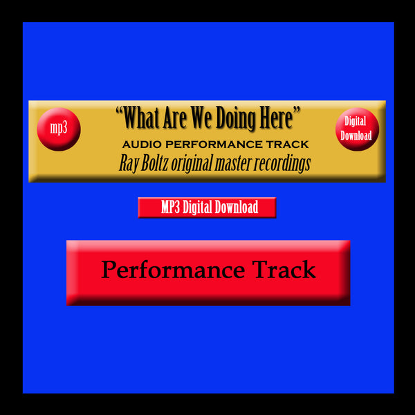 "What Are We Doing Here" Original Ray Boltz Performance Track