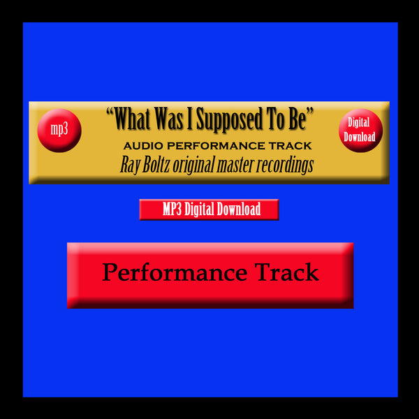 "What Was I Supposed To Be" Original Ray Boltz Performance Track